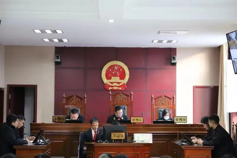 偏關最新案件深度解析，揭示真相，關注社會公正與公平