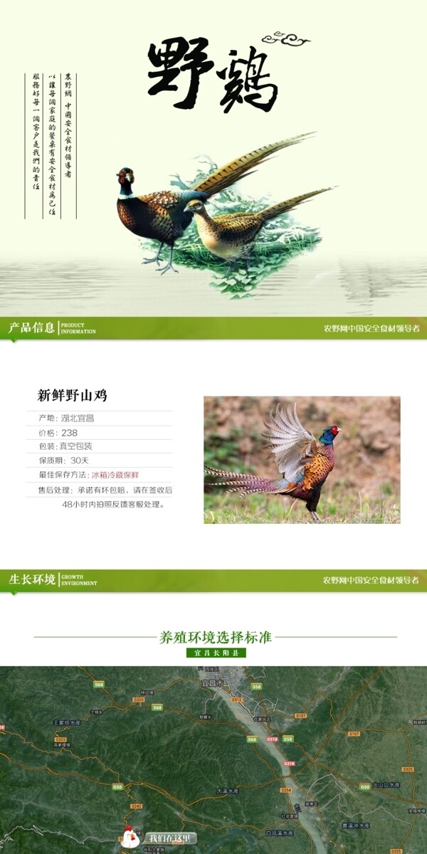 深度剖析，最新山雞的背景、事件與地位概述