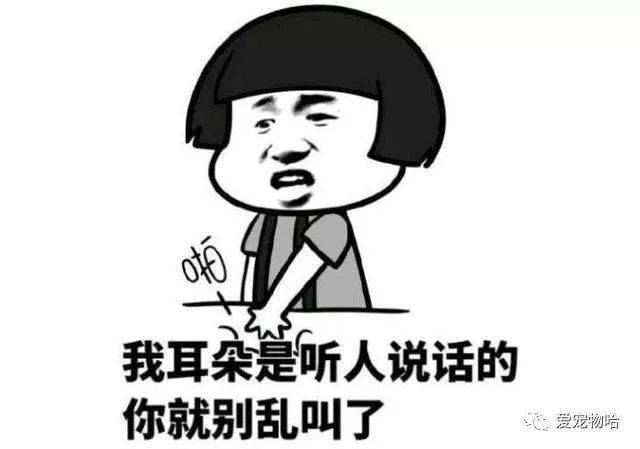 最新枕邊笑話，科技小寶貝，生活添樂趣