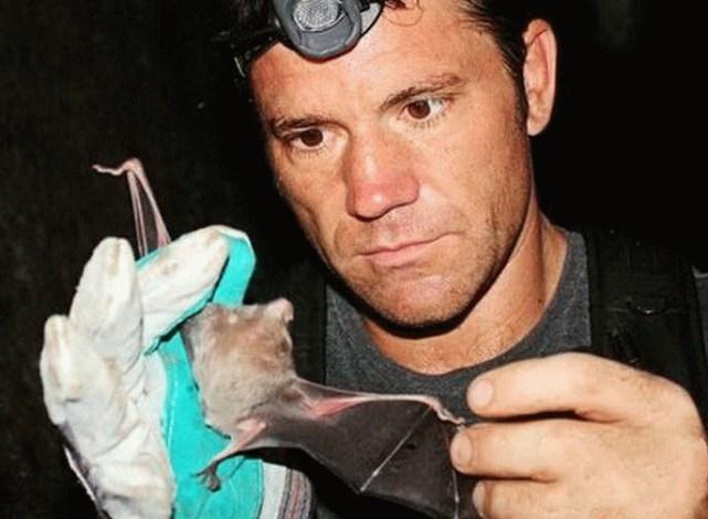 蝙蝠最新電影，自信與成長的翅膀，勵志翱翔天空之旅