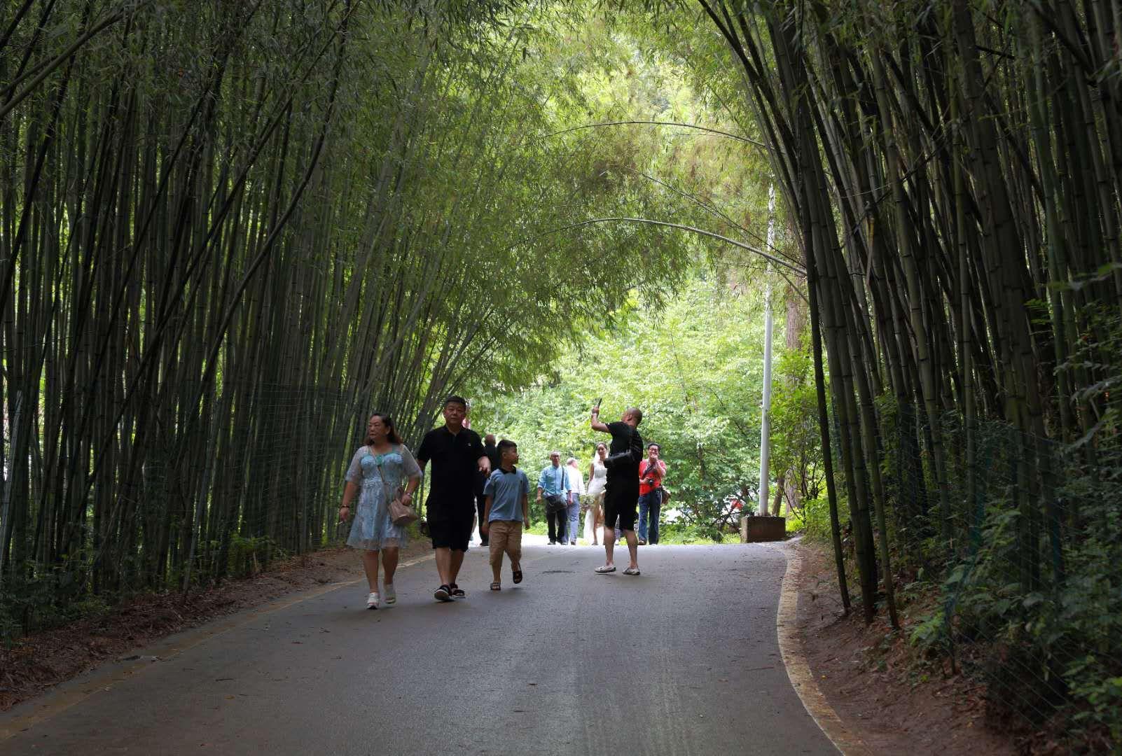 全家最新優(yōu)惠攻略，一步步教你享受最大優(yōu)惠折扣！