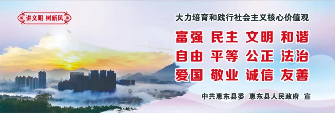 惠州肺炎最新動(dòng)態(tài)，小巷深處的獨(dú)特小店背后的故事