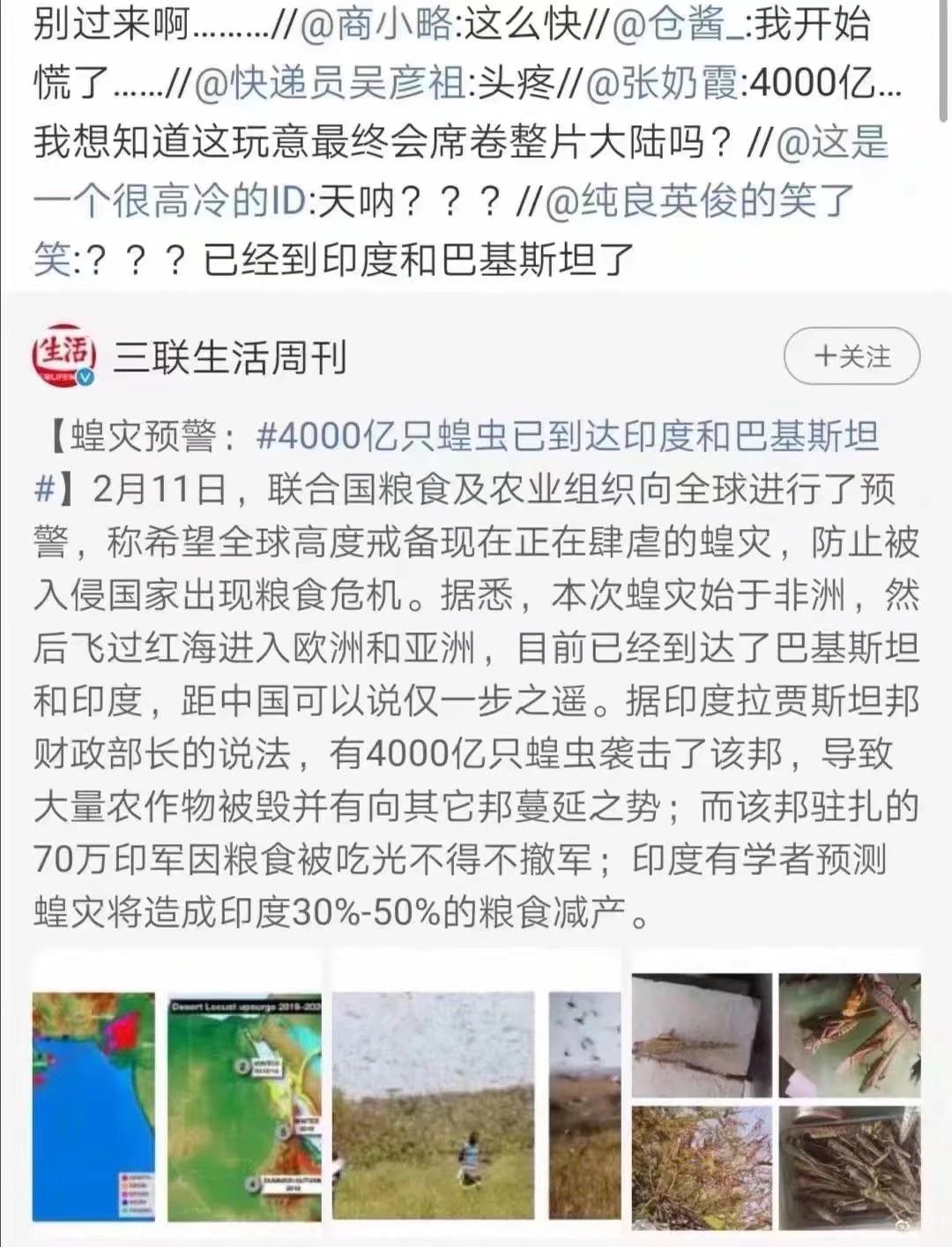 蝗蟲最新動態(tài)，防治與監(jiān)測的全面指南