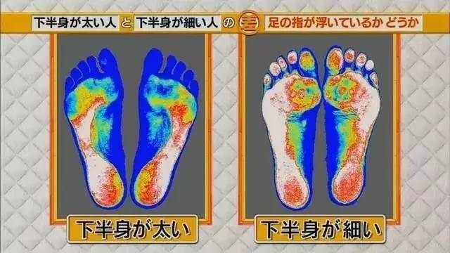 最新地趾論述，探索、爭議與觀點綜述