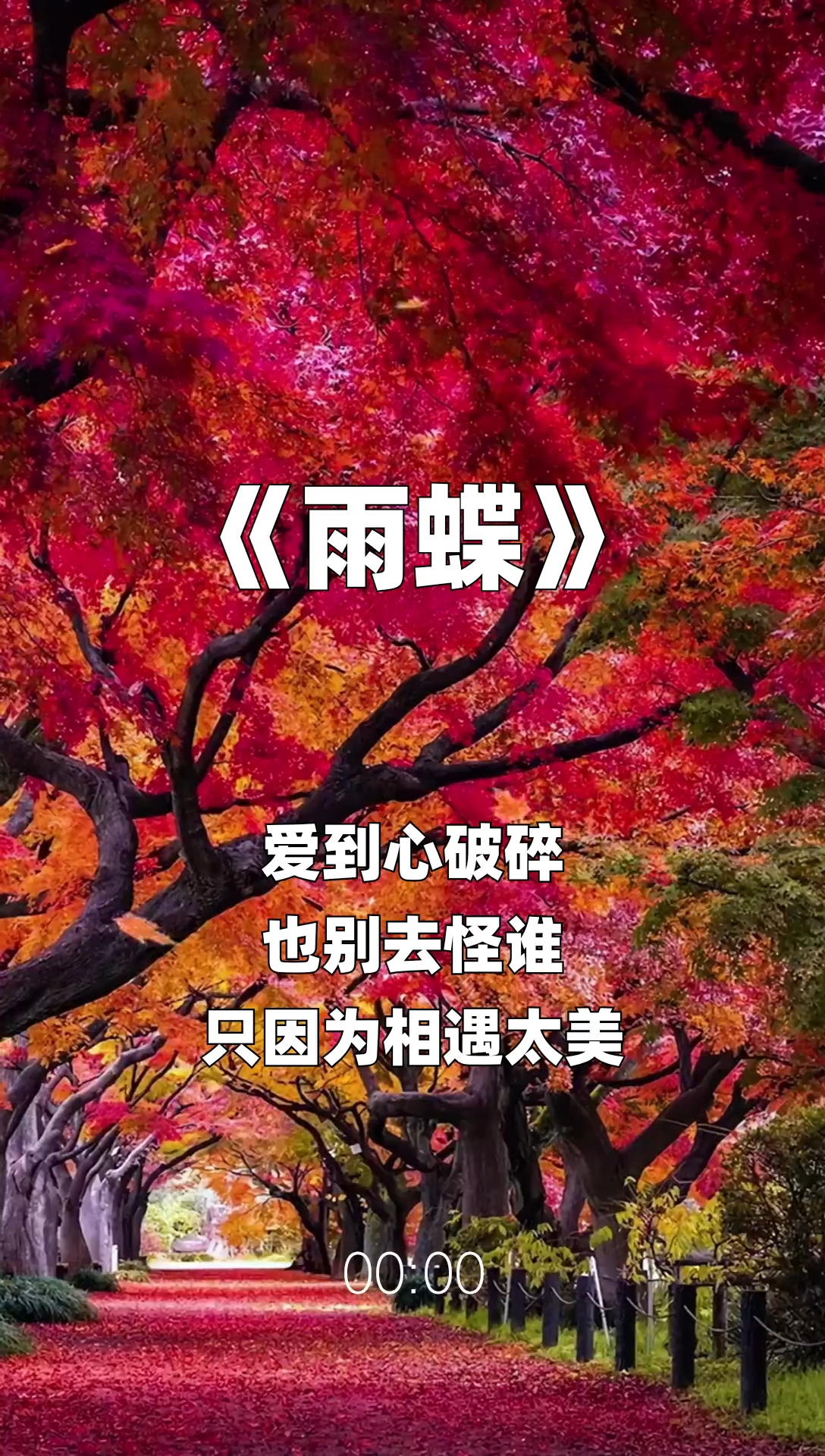 雨蝶最新步驟指南，如何完成任務(wù)或?qū)W習(xí)技能？