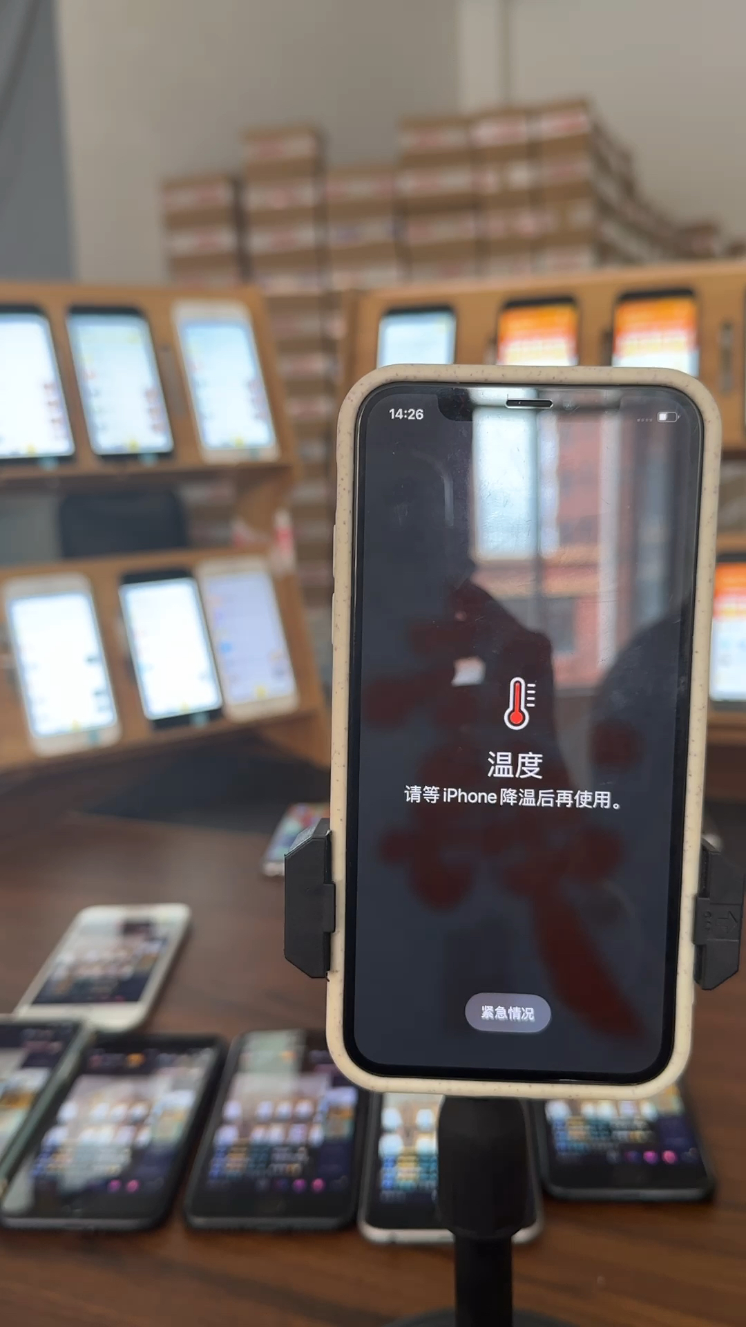 蘋果最新直播，科技與文化的完美融合盛宴