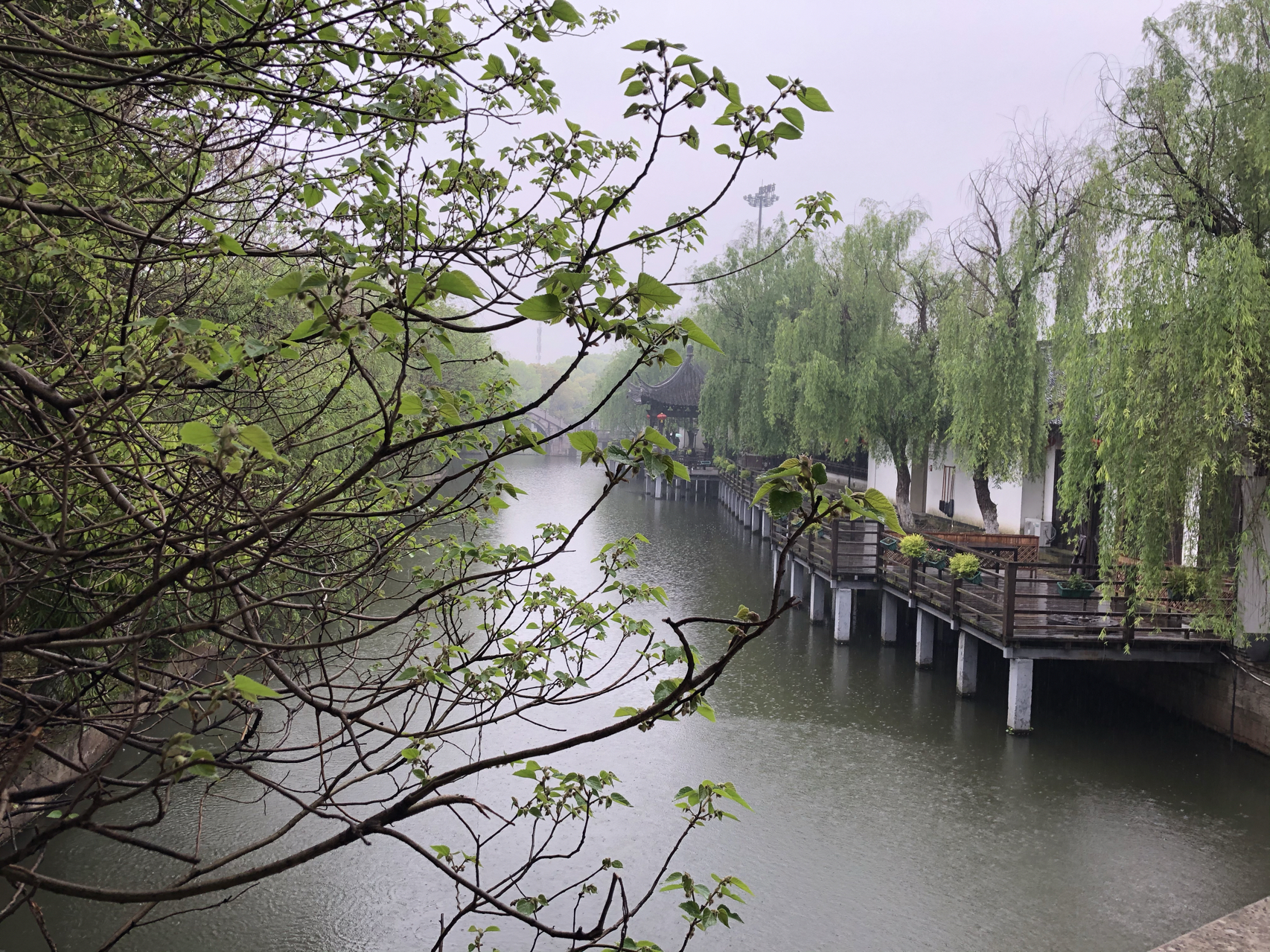 江南煙雨最新，自信與成就感的成長(zhǎng)之旅