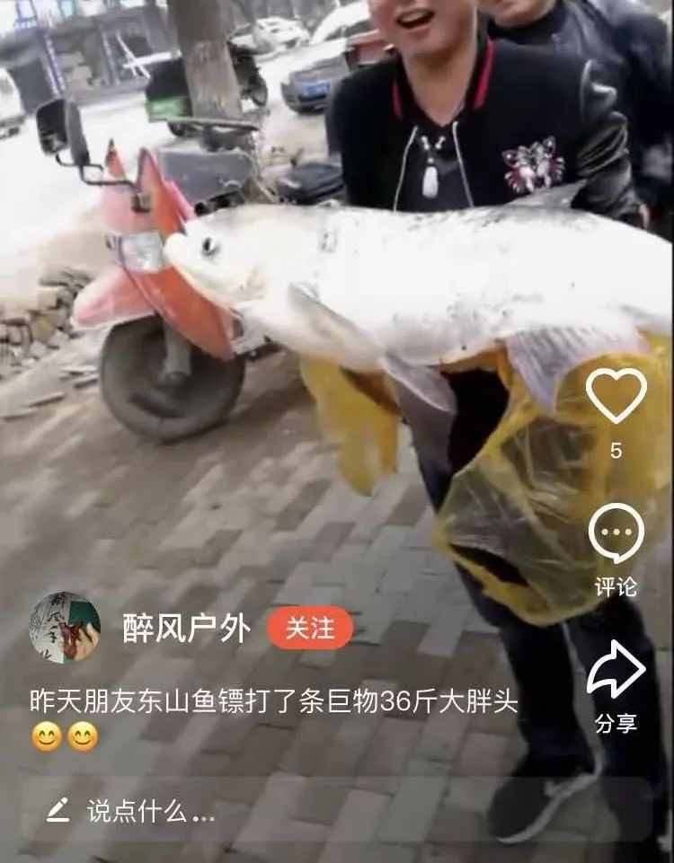 射魚神器進化升級，學習變革與自信成就之源