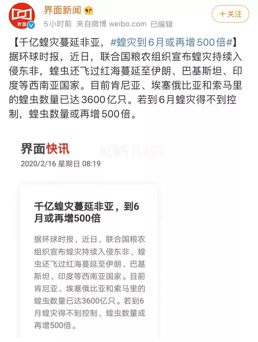 世界蝗災(zāi)最新動(dòng)態(tài)，探索自然美景的輕松之旅