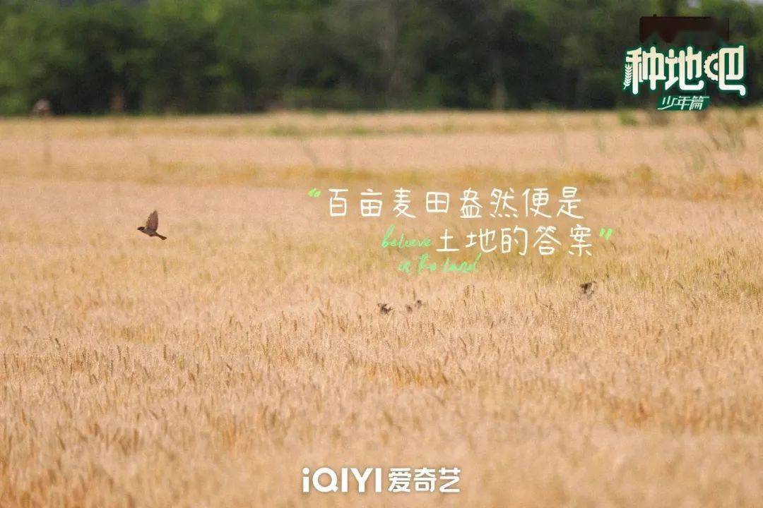種地吧最新語錄，探索未來農(nóng)業(yè)的高科技魅力