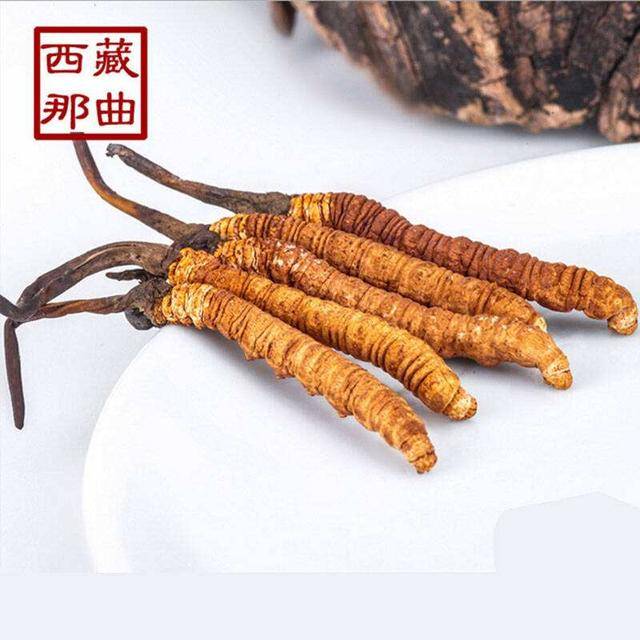 揭秘2025年蟲草最新價(jià)格，探尋小巷中的秘密行情！