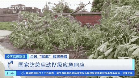 超強(qiáng)臺風(fēng)鸚鵡來襲，最新路徑動態(tài)全解析???
