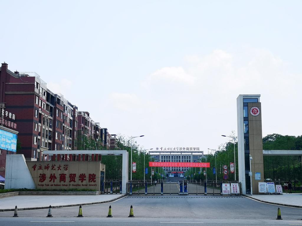 最新本科專業(yè)探秘，小巷中的隱藏寶藏之門