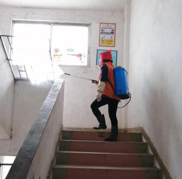 蓬江區(qū)最新高科技住宅，重塑未來(lái)生活體驗(yàn)的首選之地